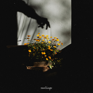 jagnexsmax丰满熟女
