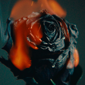 jagnexsmax丰满熟女
